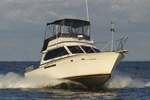 Great Lakes Lake Erie Fishing Charters