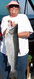 big lake erie steelhead trout